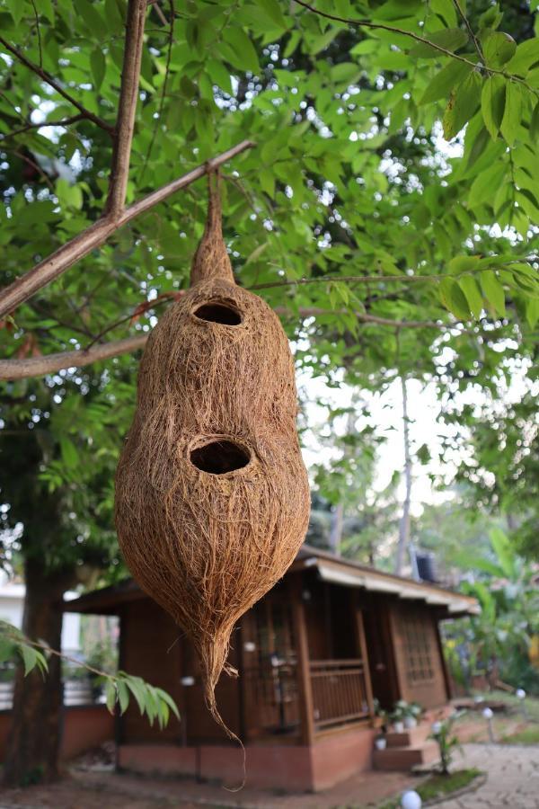 Greenchromide Homestays Mundrothuruth Екстериор снимка